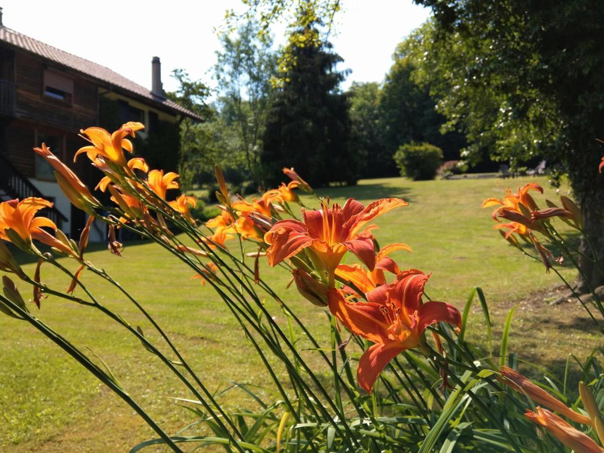 Domaine De L'Olifant Bed & Breakfast Champanges Luaran gambar