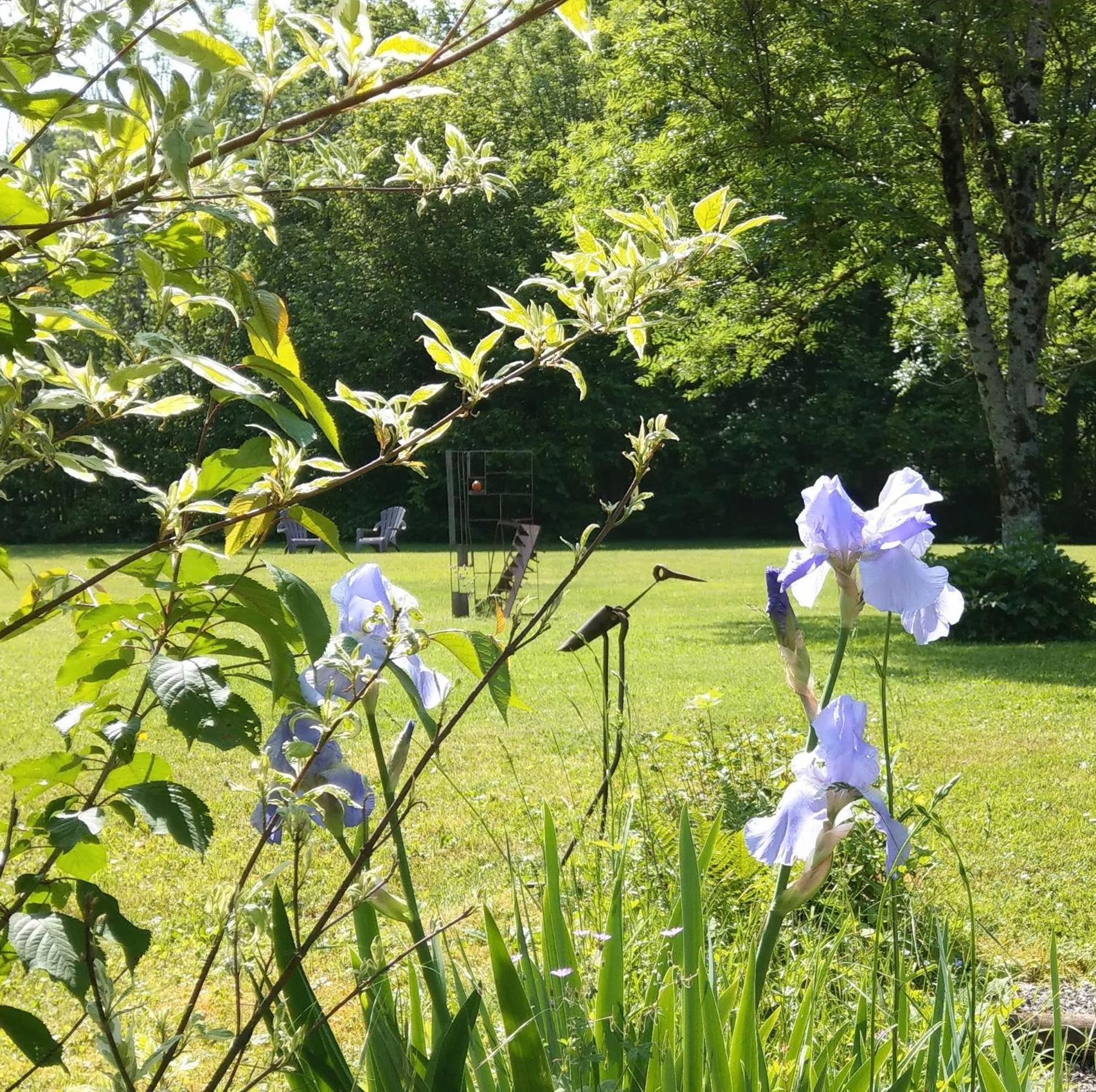 Domaine De L'Olifant Bed & Breakfast Champanges Luaran gambar