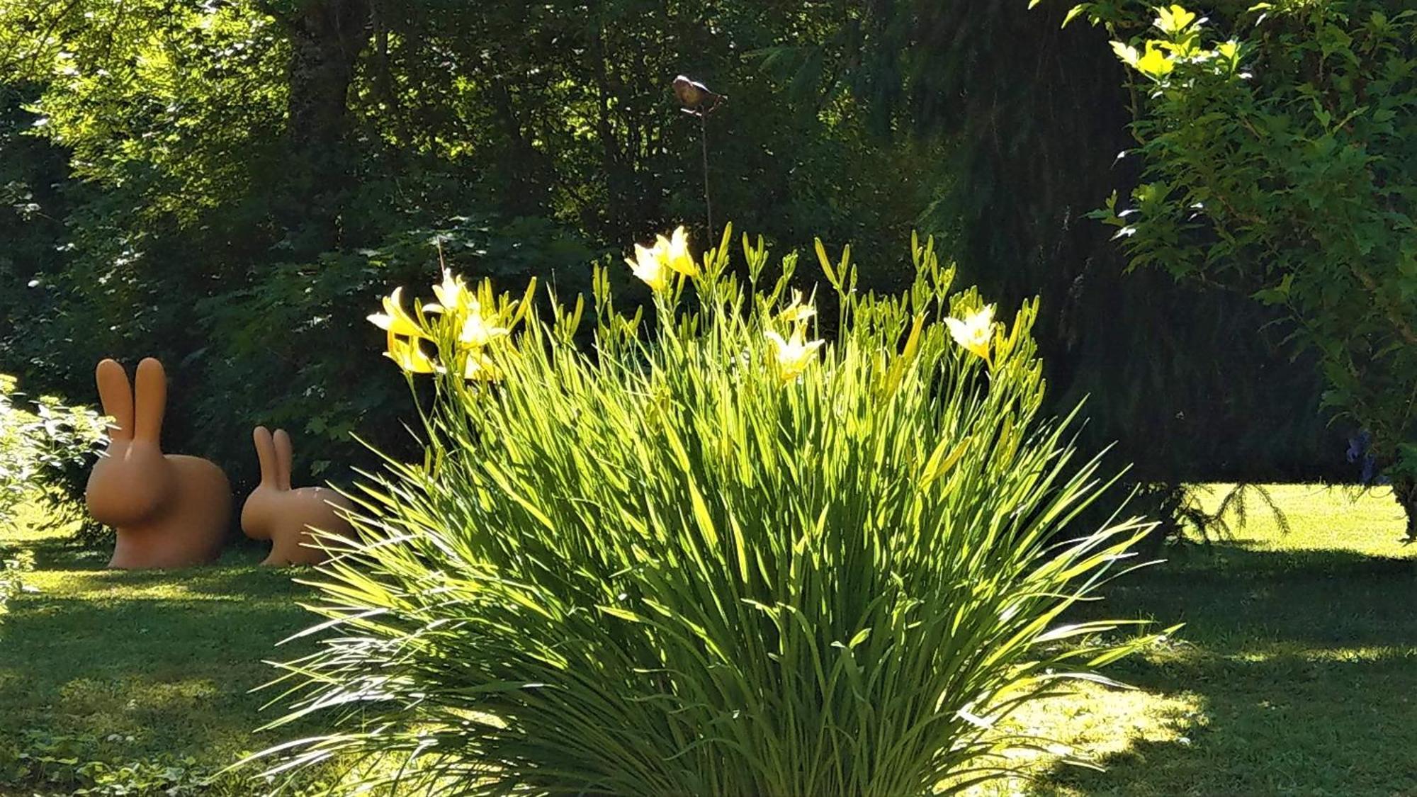 Domaine De L'Olifant Bed & Breakfast Champanges Luaran gambar