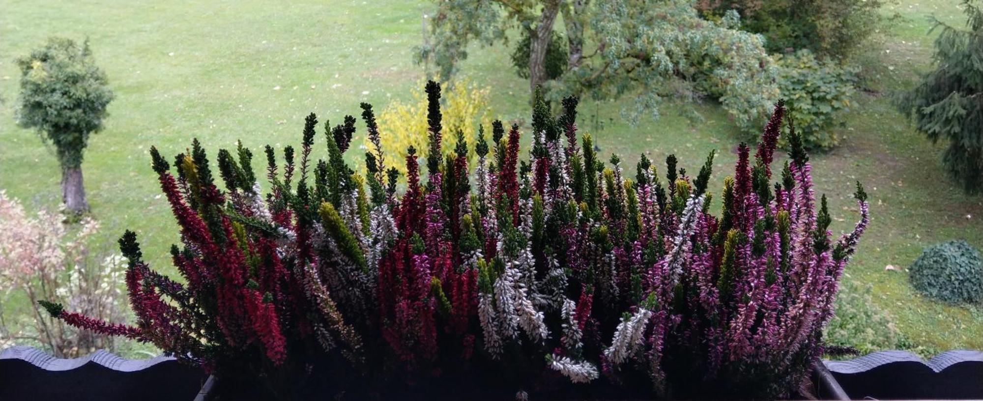 Domaine De L'Olifant Bed & Breakfast Champanges Luaran gambar