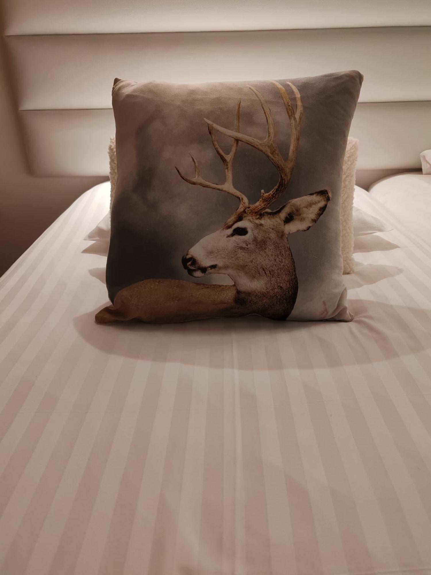Domaine De L'Olifant Bed & Breakfast Champanges Bilik gambar