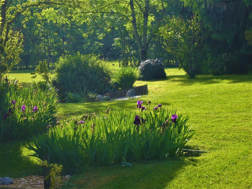 Domaine De L'Olifant Bed & Breakfast Champanges Luaran gambar