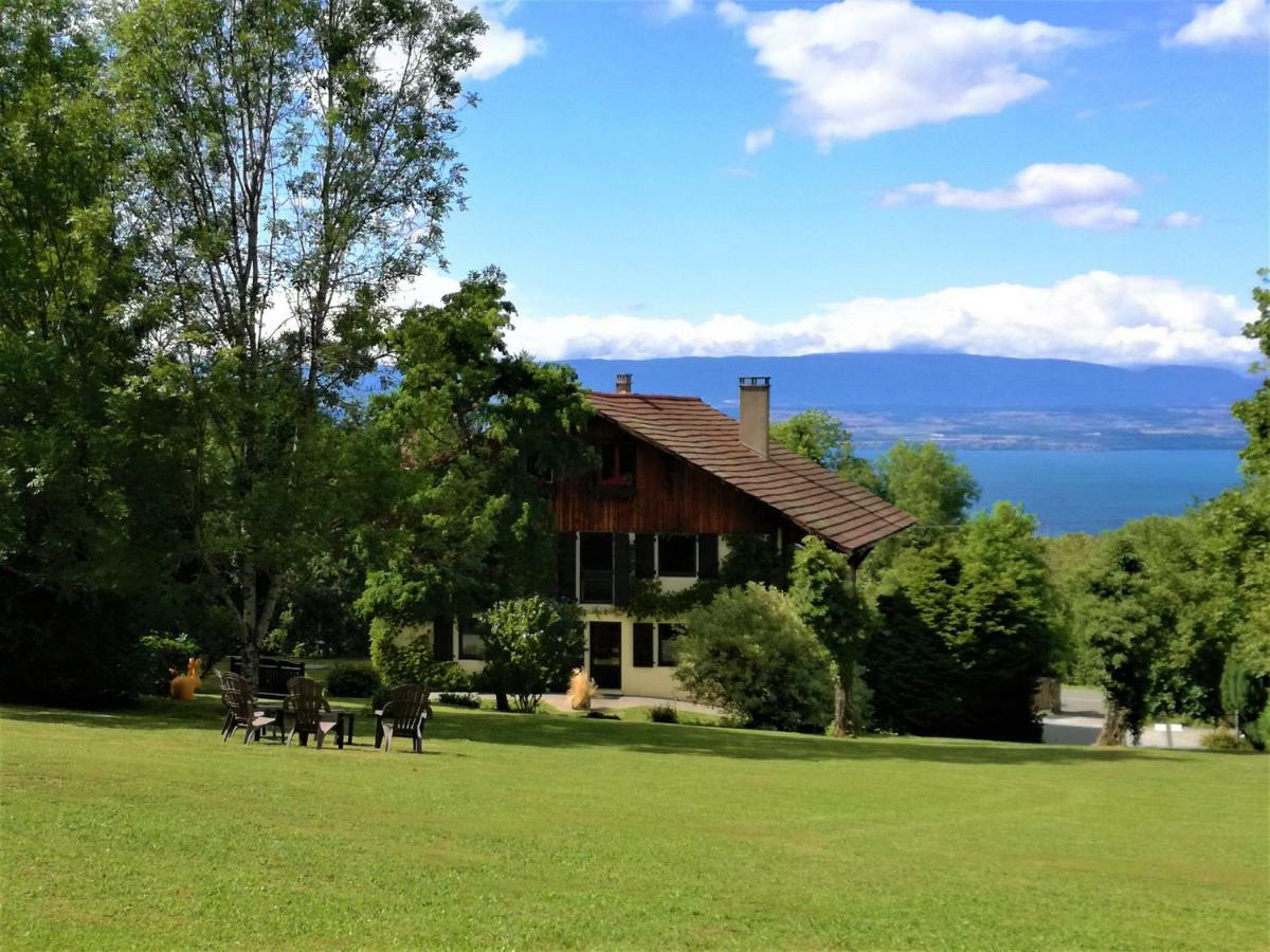 Domaine De L'Olifant Bed & Breakfast Champanges Luaran gambar